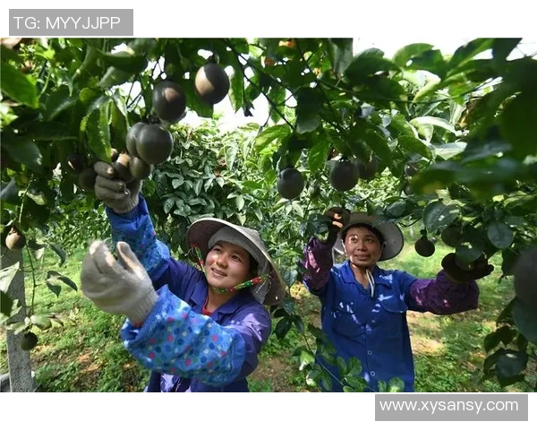 果园采摘乐：亲手摘果品味自然，感受丰收的喜悦与幸福